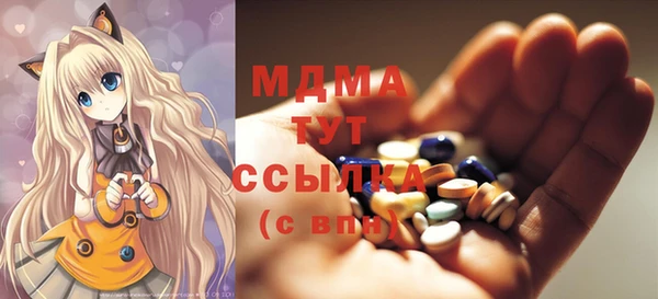 хмурый Аркадак