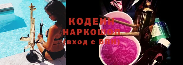 хмурый Аркадак