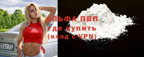 хмурый Аркадак