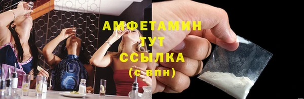 хмурый Аркадак
