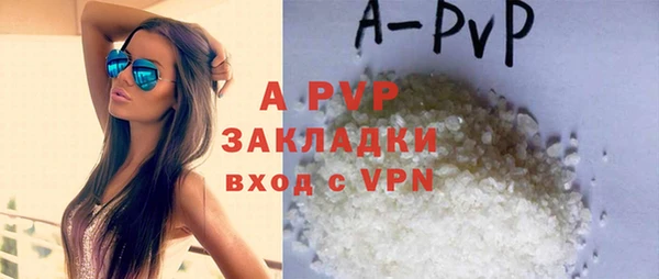 хмурый Аркадак