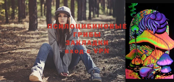 хмурый Аркадак