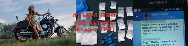 твердый Арсеньев