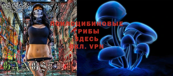 твердый Арсеньев