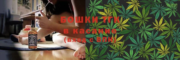 твердый Арсеньев