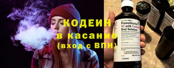 хмурый Аркадак