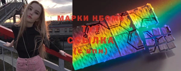 твердый Арсеньев